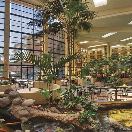 Embassy Suites By Hilton Phoenix Biltmore Kültér fotó